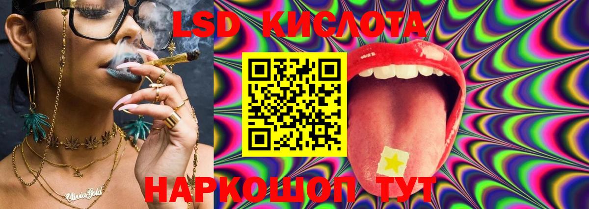 Сальск  гидра tor  Вход с VPN  LSD-25 экстази кислота 