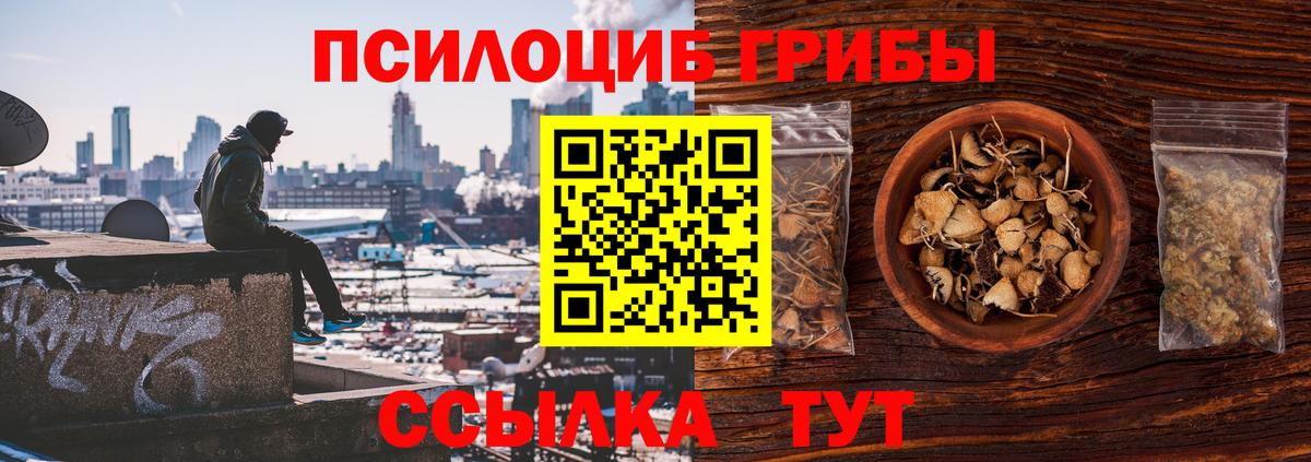 Псилоцибиновые грибы Cubensis  Вход с VPN  Сальск 